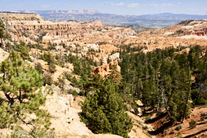 USA Bryce Canyon<br>NIKON D4, 35 mm, 125 ISO,  1/320 sec,  f : 8 , Distance : 20 m